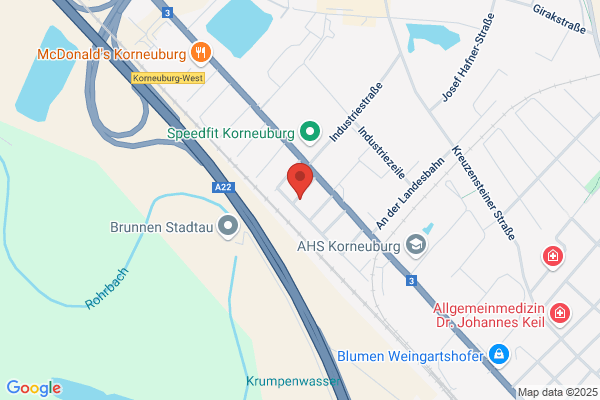 IssP Internet-Solutions, Szongott und Pert OEG