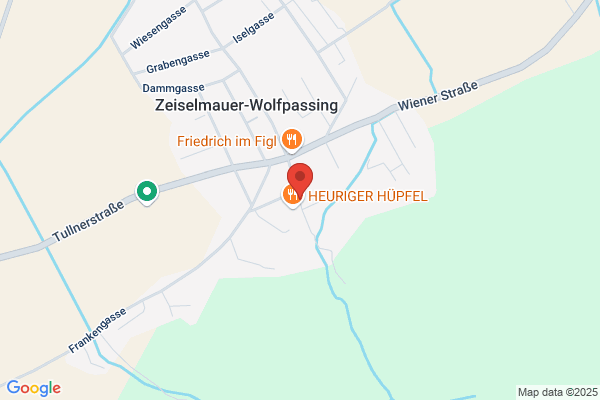 Miss Lee - einzige Profizauberkuenstl. Oesterreichs