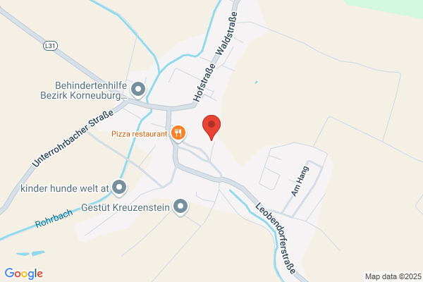 Willmann Ges. mbH