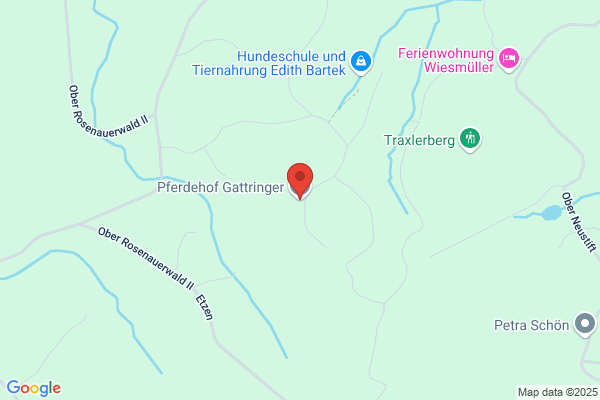 Gottfried Gattringer