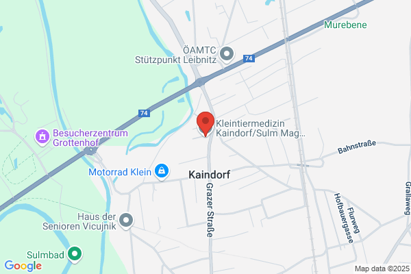 Kleintiermedizin Kaindorf/Sulm Mag med vet Manfred Brandl