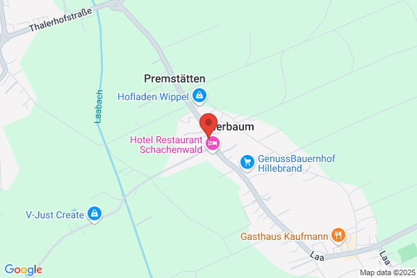 Caecilia Tardi