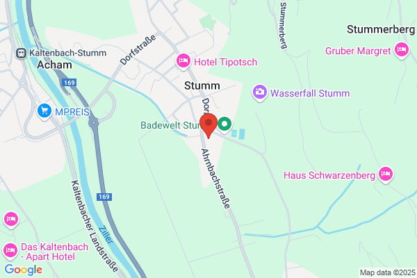 SVG Stumm