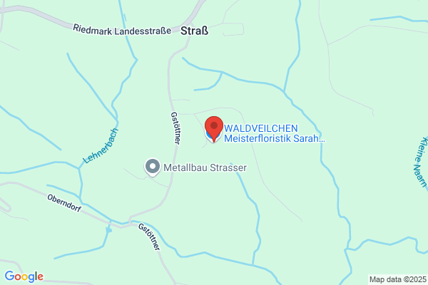 WALDVEILCHEN Meisterfloristik Sarah Pilz