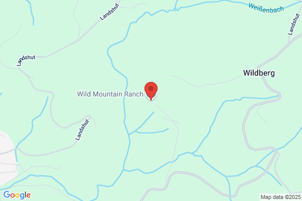 Wild Mountain Ranch