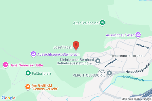 Froestl Bautraeger und Immobilienverwertung GmbH
