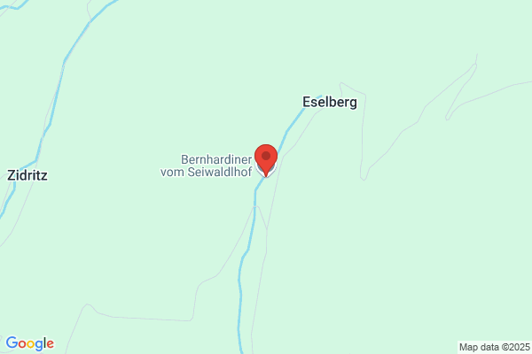 Bernhardiner vom Seiwaldlhof