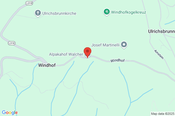 Adolf Walcher