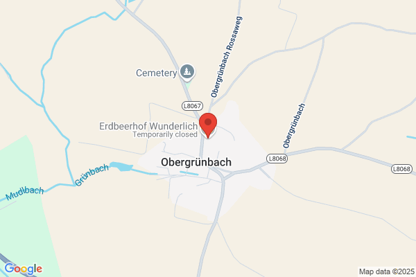 Erdbeerfeld Gruenau