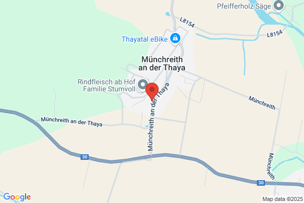 Theurer GmbH