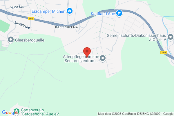 LUGGY'S MUSIKEXPRESS ALLEINUNTERHALTER ODER DUO