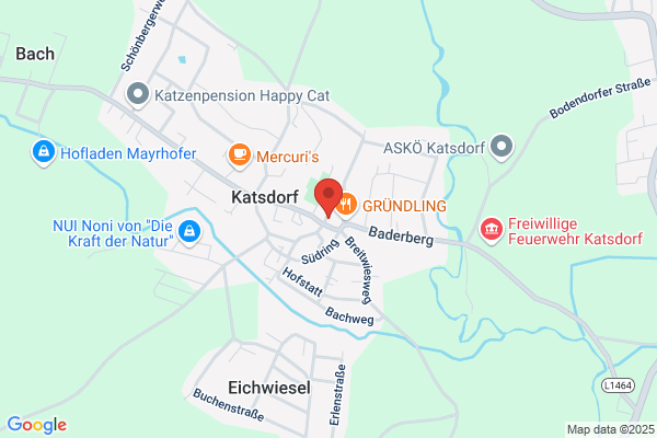 Cafe-Pub Guglhupf