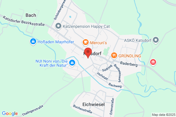 Lichtspiele Katsdorf