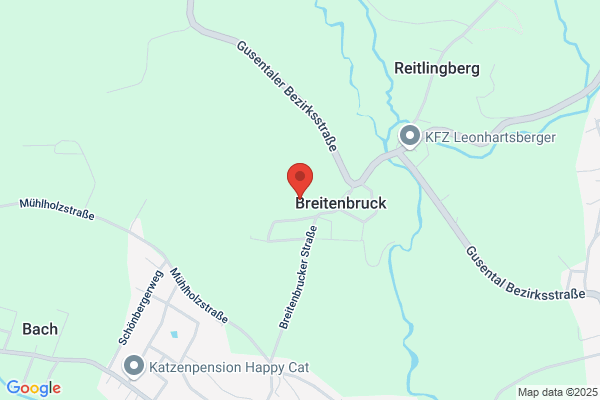 Weinberger Alfred Mag