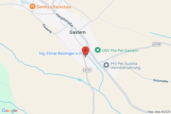 Ing. Elmar Reininger