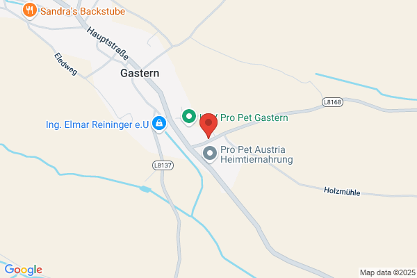 USV Gastern, Sportplatz Buffet Gerald Fasching