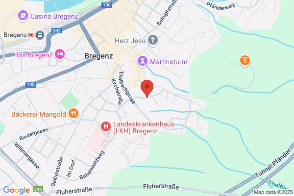 Der Holzbock
