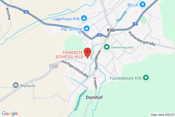 Schiessl Wolfgang Dipl-TA Dr