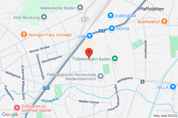 TANZSCHULE SCHWEIGER