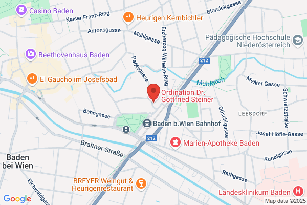 Dr. Ernst u. Henriette Kainz Ges.mbH und Co KG