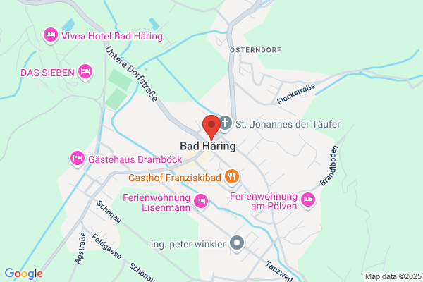 Anton Schenkenfelder