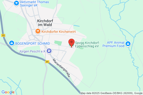SV Erpfendorf Wald Gerhard Manzl