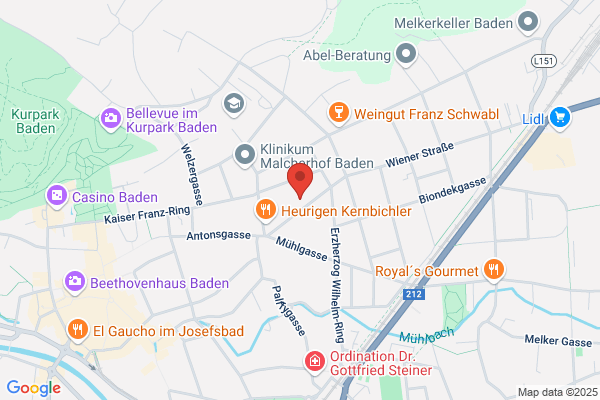Schwarzott Ges.mbH