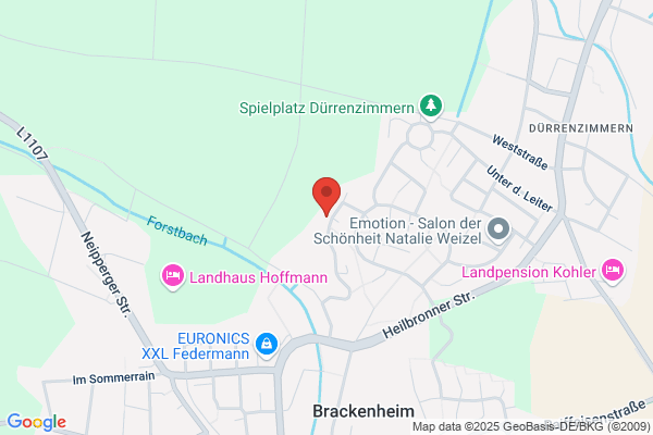 Schermann Consulting und Training KEG
