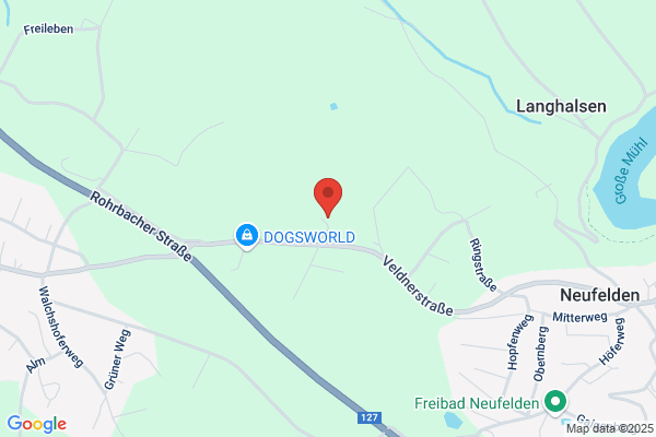 Auto Pöchtrager GmbH