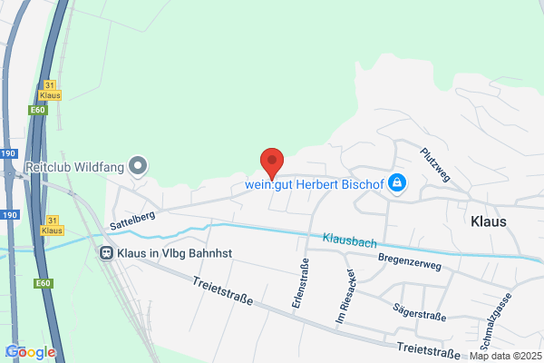 ing buero laengle - Planungsbuero f Biomasse- Heiz(kraft)werke