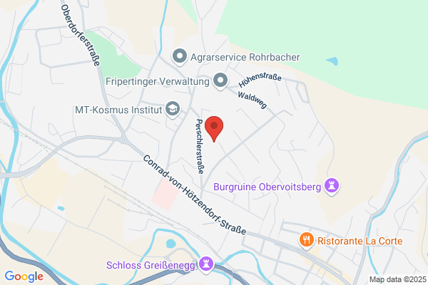 Taxi-Blitz Fleischhacker- Hoeller OEG