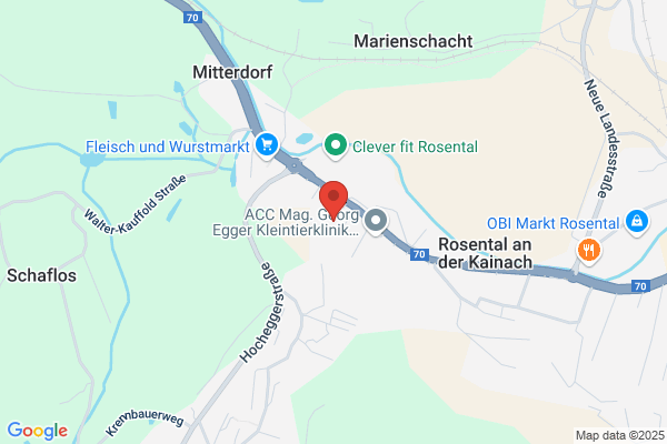 Forstinger Handel und Service GmbH