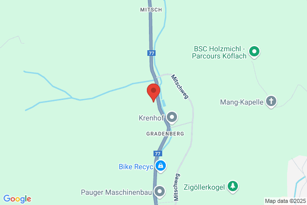 Eisschuetzenverein Eisblume Gradenberg