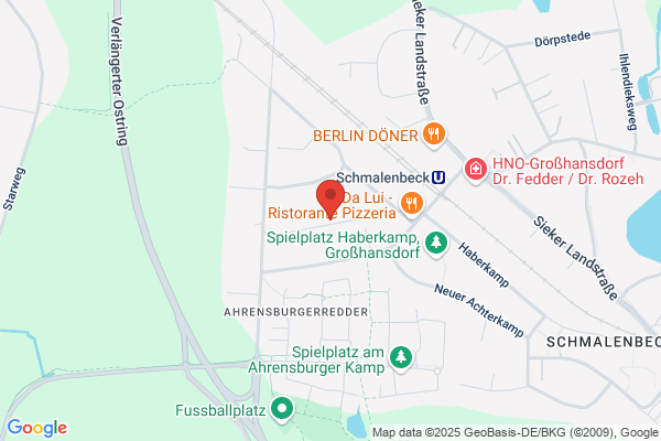 SYN-THESE Gesellschaft fuer holistische Medizin GmbH