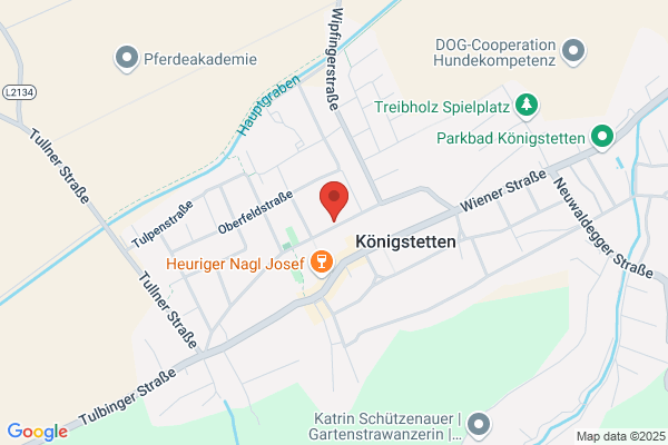 Sportverein Pioneer