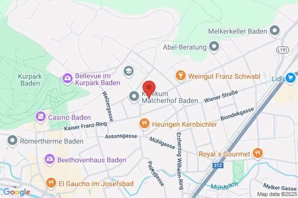 Hoehere Bundeslehranstalten f wirtschaftliche Berufe