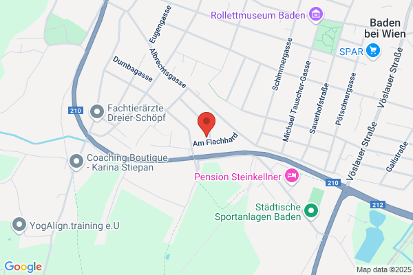 Schabauer Peter Ing Mag