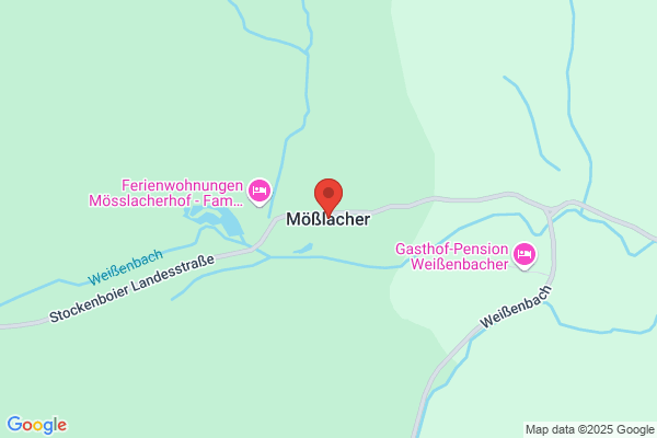 Friedrich Moesslacher