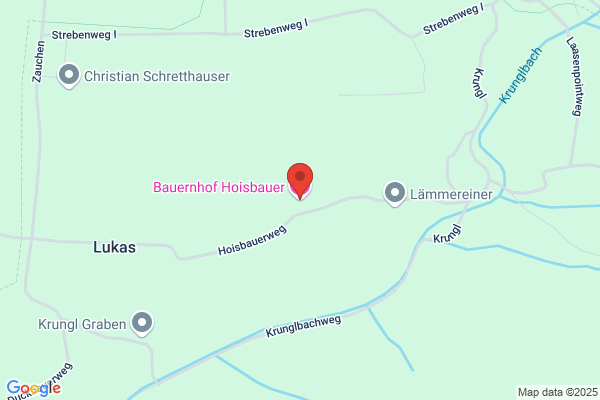 Bauernhof Hoisbauer - Erich Steiner