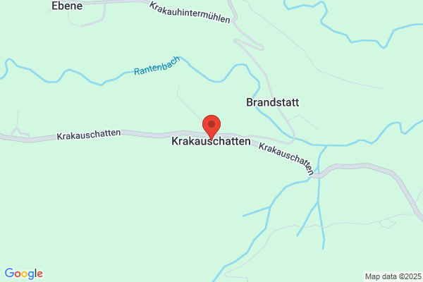 Faschingsrenner