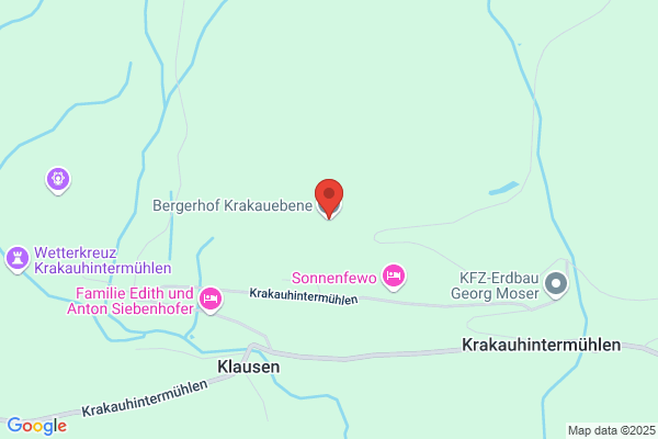 Faschingsrenner Krakauebene