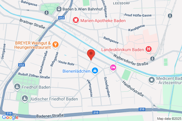 Institut f Bioresonanz u Biofeedback