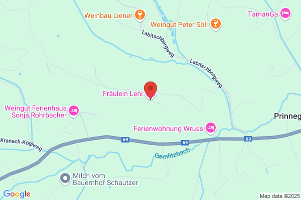 Fräulein Leni Hotel
