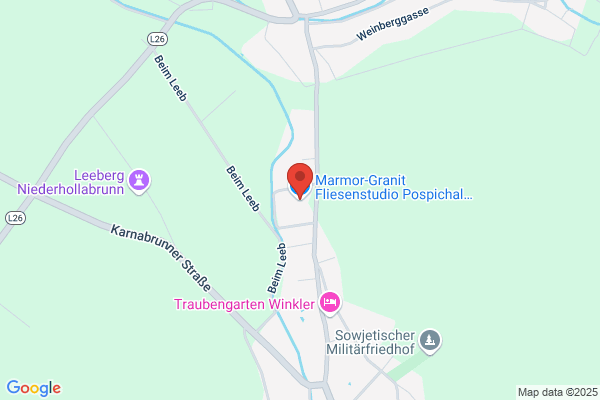 Pospichal OEG