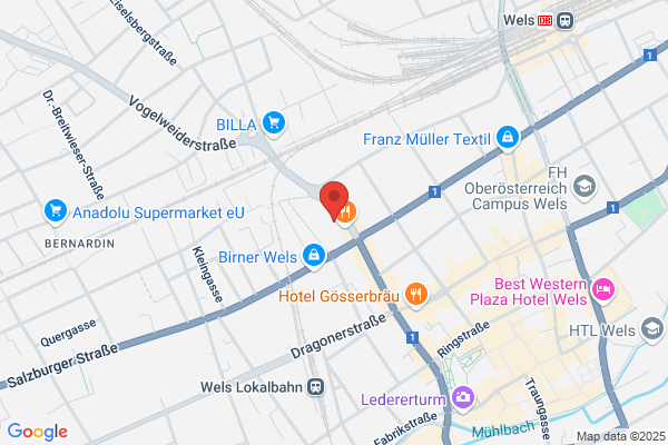 Orthner Ernst Doz Prim Dr