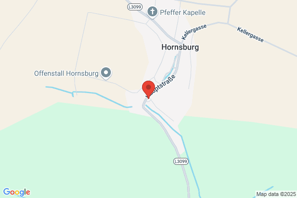 Freiwillige Feuerwehr Hornsburg