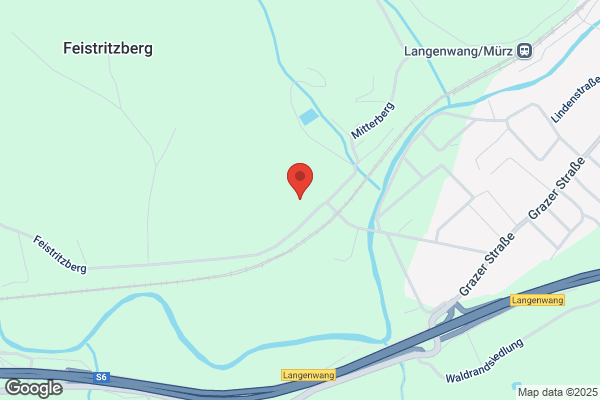 Forstgut Langenwang d Raiffeisen Zentralbank Oesterr AG