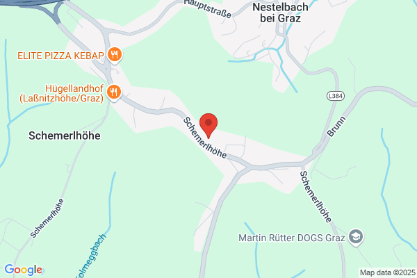 Ludwig Pecnik Autobusbetrieb GesmbH