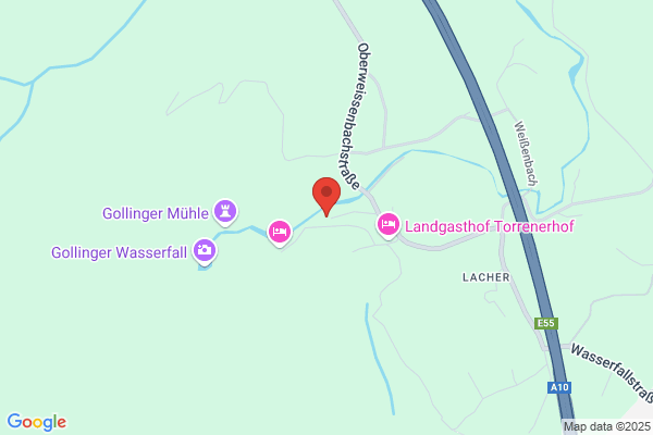 Johann Hollweger