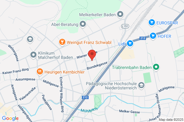 Lomicon Consulting GmbH
